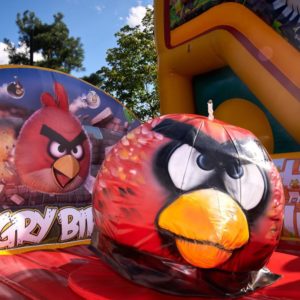 Родео Angry Birds
